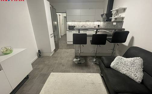 Pronájem bytu 3+kk 57 m², Trocnovská, Tábor