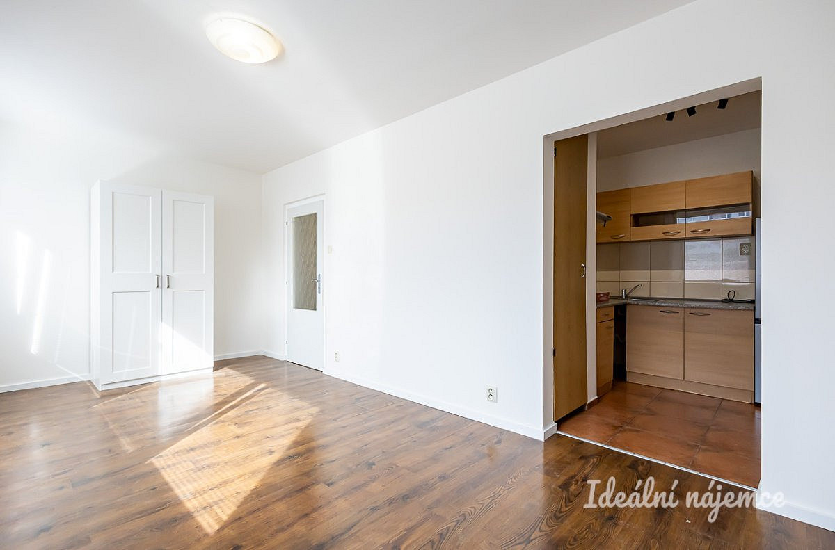 Pronájem bytu 1+1 29 m²