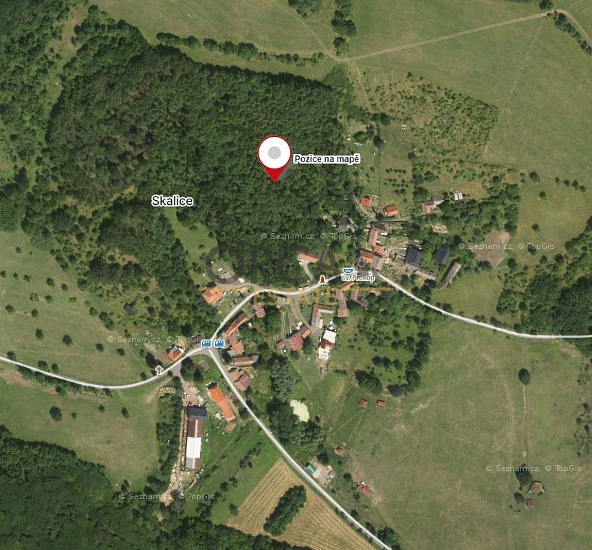 Prodej lesního pozemku v k. ú. Skalice u Lovosic o výměře 15940 m² – pohled 2