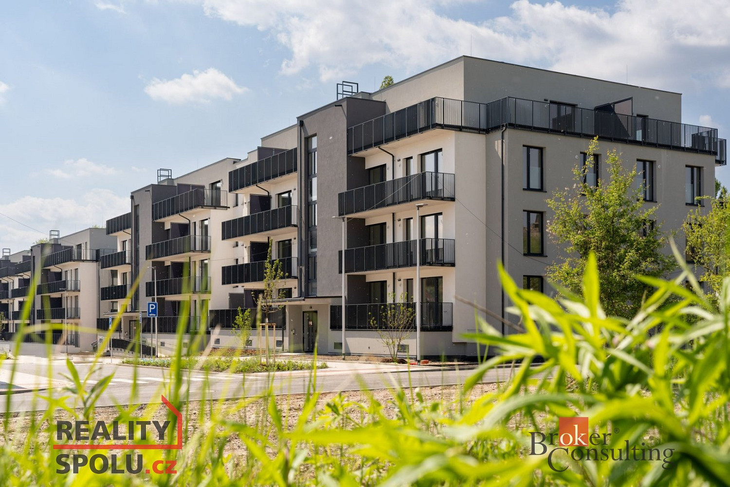 4 rooms, 219.0 m² in Kladno