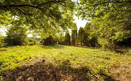 Prodej stavebního pozemku 1 372 m², Šťáhlavy, okres Plzeň-město