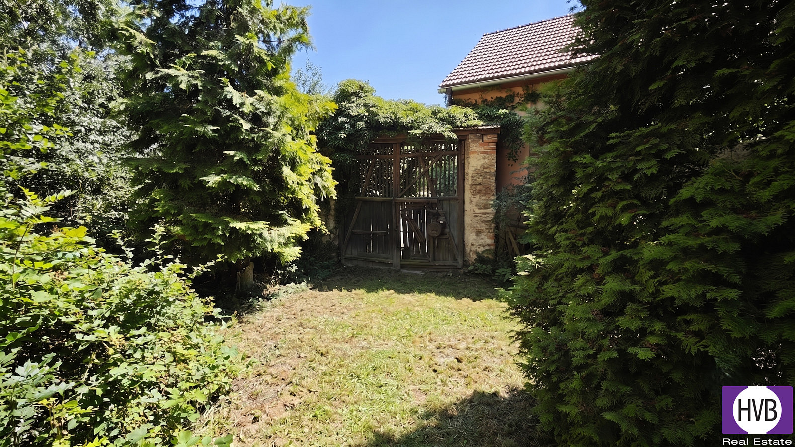 Fotka 12 z 13