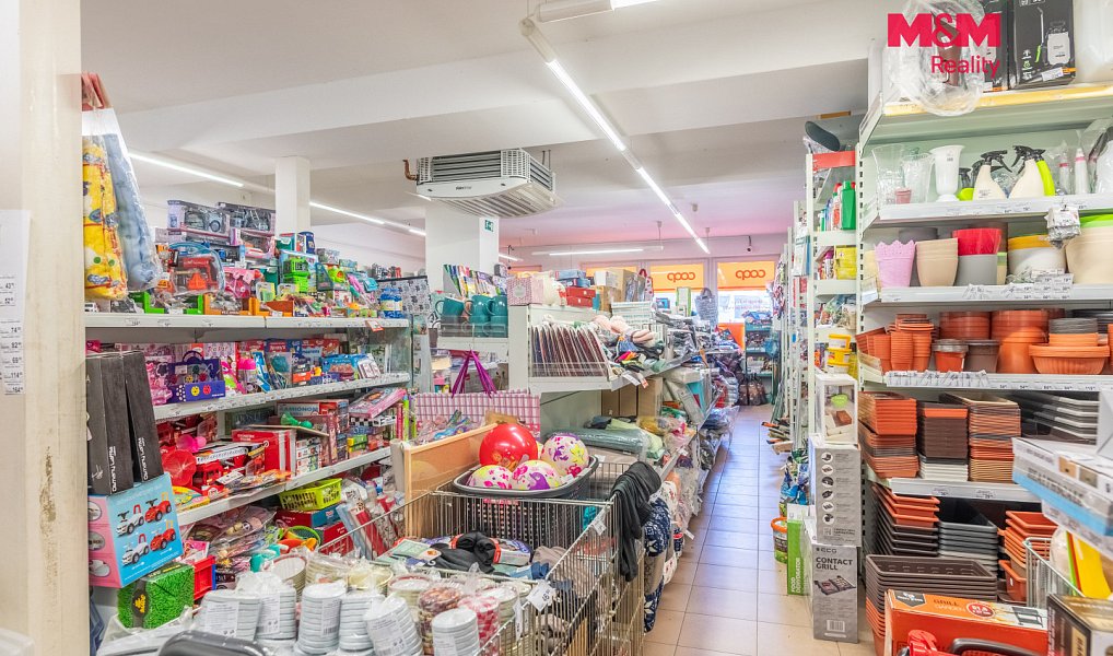 Prodej obchodních prostor 340 m², Bavorov – náhled fotky 13