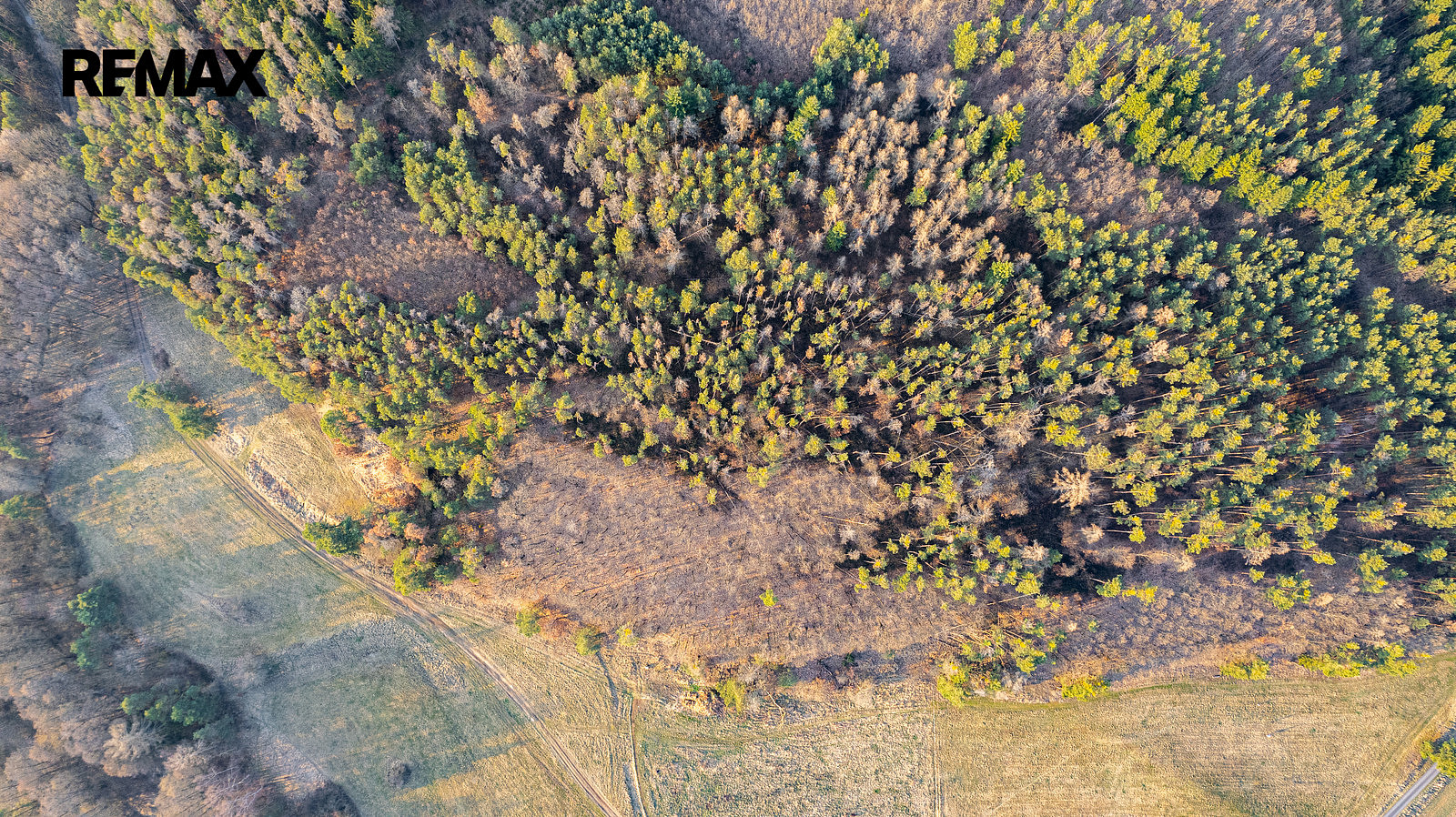 Prodej lesa 14 998 m² – další