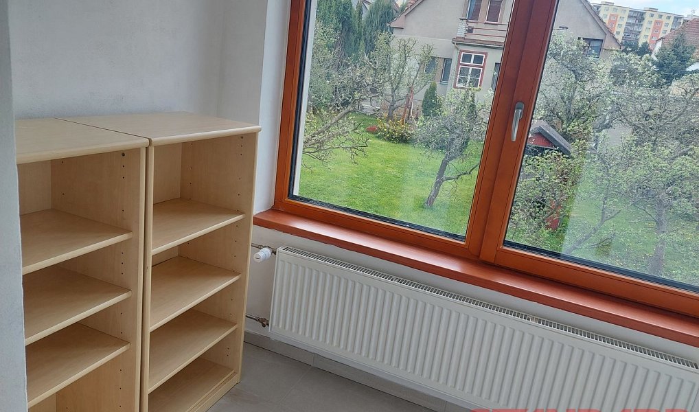 Pronájem bytu 1+1 37 m², Plzeň – náhled fotky 6
