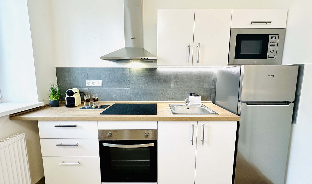 Pronájem bytu 1+kk 50 m², Jihlava – náhled fotky 7