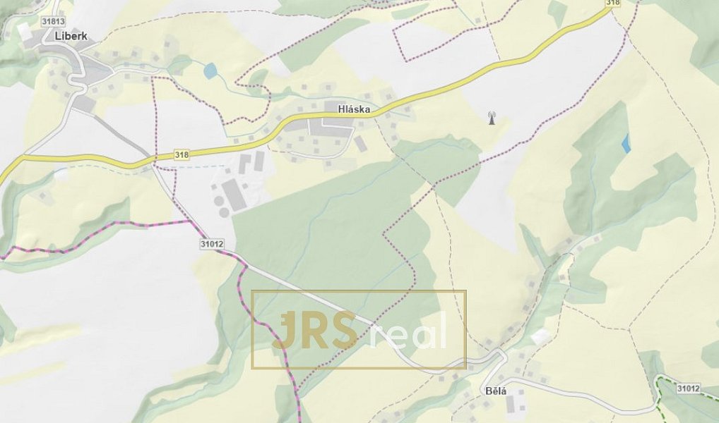 Prodej lesa 1 985 m², Liberk – náhled fotky 2