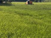 Prodej stavebn�ho pozemku 1�044�m2