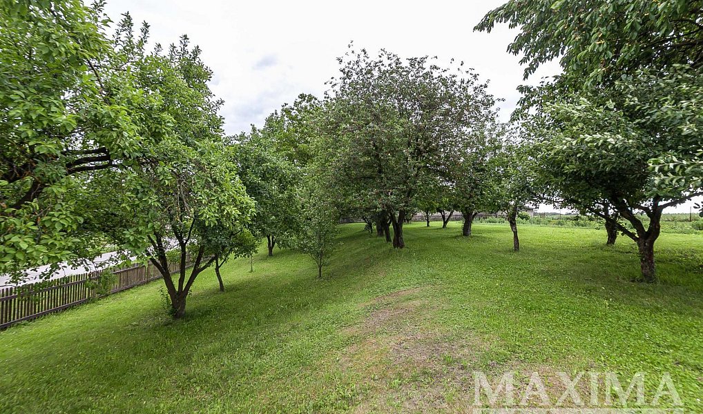 Prodej stavebního pozemku 1 372 m², Běchary – náhled fotky 4