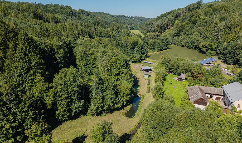Prodej vodní plochy 8 295 m², Nové Hrady – náhled fotky 6