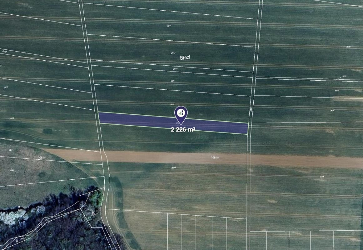 Prodej pole 557 m²