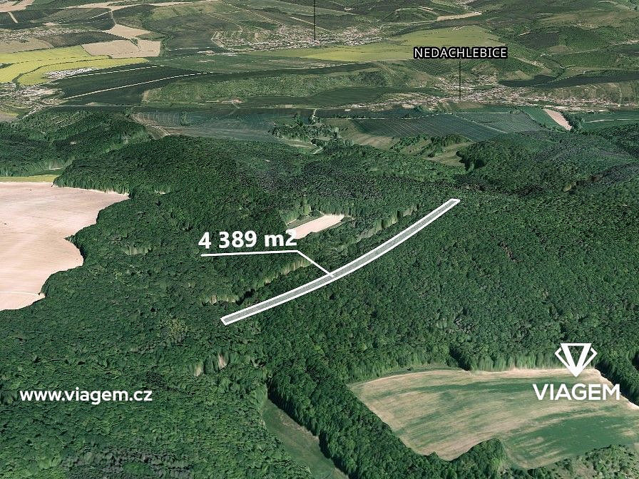 Prodej lesa 1 097 m²