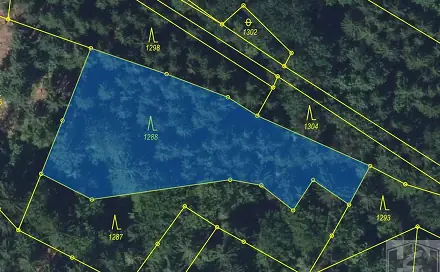 Prodej lesa 2 272 m², Paseky nad Jizerou, okres Semily