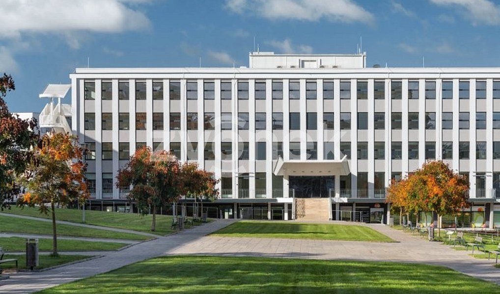 Pronájem kanceláře 36 m², Zlín – náhled fotky 5