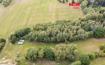 Prodej lesa 715 m², Rodná, okres Tábor
