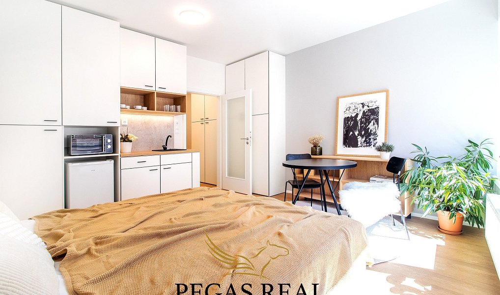 Pronájem bytu 1+kk, 28 m², Zábrdovice - Brno-město, Brno