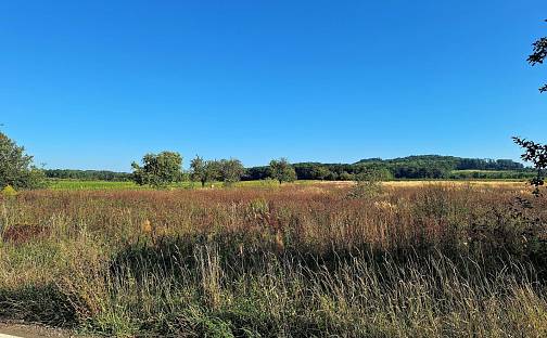 Prodej pole 140 145 m², Mnichovo Hradiště - Sychrov, okres Mladá Boleslav