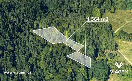 Prodej lesa 1 564 m², Železný Brod, okres Jablonec nad Nisou