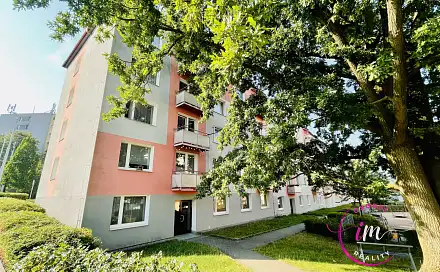 Pronájem bytu 2+1 56 m², Sokolovská, Jihlava