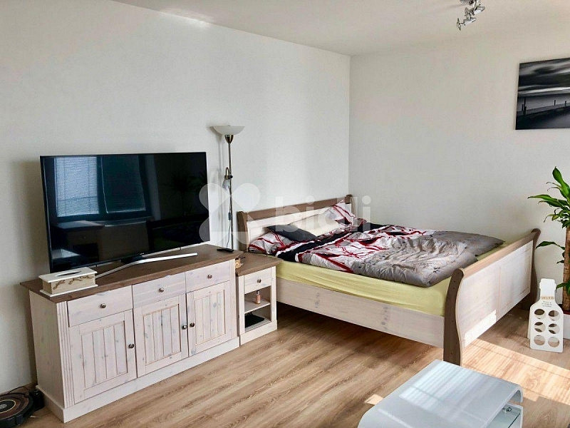 Pronájem bytu 1+kk 32 m² – fotografie 2