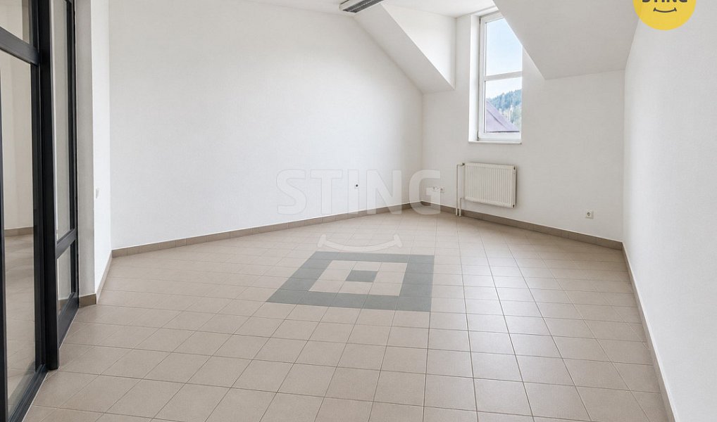 Pronájem komerčního objektu (jiného typu) 452 m², Třinec – náhled fotky 6