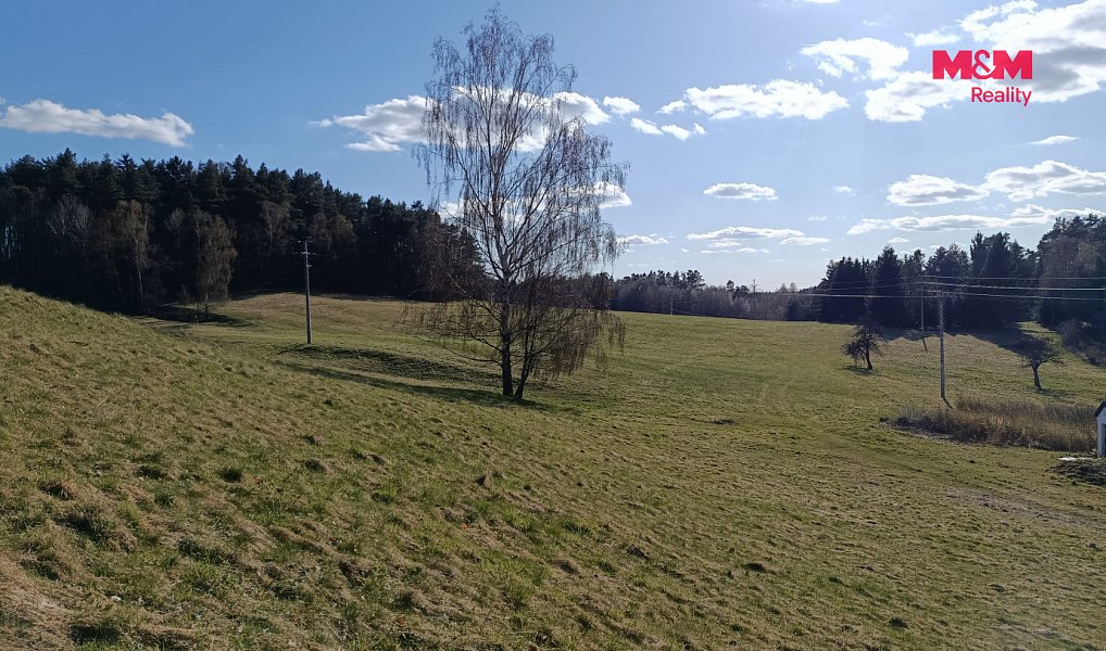 Prodej louky 2 749 m², Janův Důl – náhled fotky 3