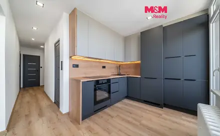 Prodej bytu 2+1 58 m², Mandlova, Plzeň - Doudlevce