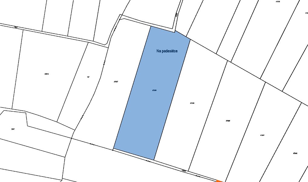 Prodej pozemku 2 757 m², Petříkov – náhled fotky 2