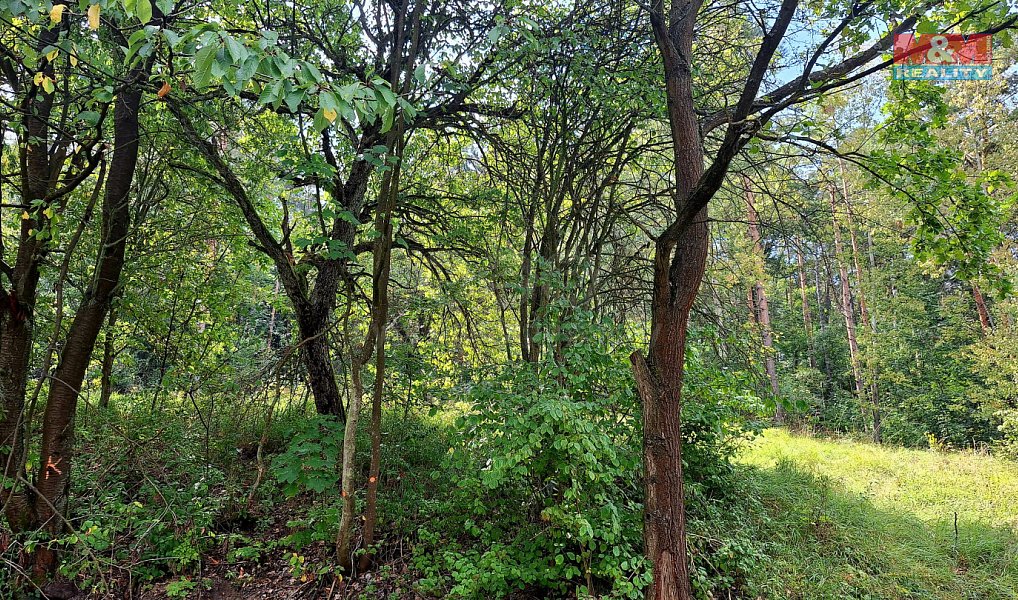 Prodej chaty/chalupy 86 m² s pozemkem 10 875 m², Úštěk – náhled fotky 6