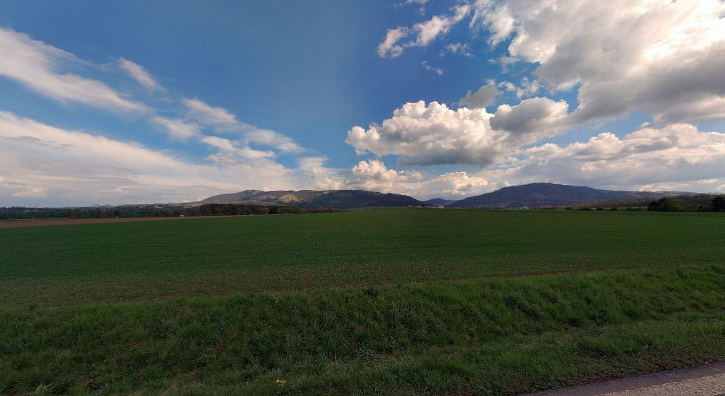 Prodej pole 3 984 m² — photo 2