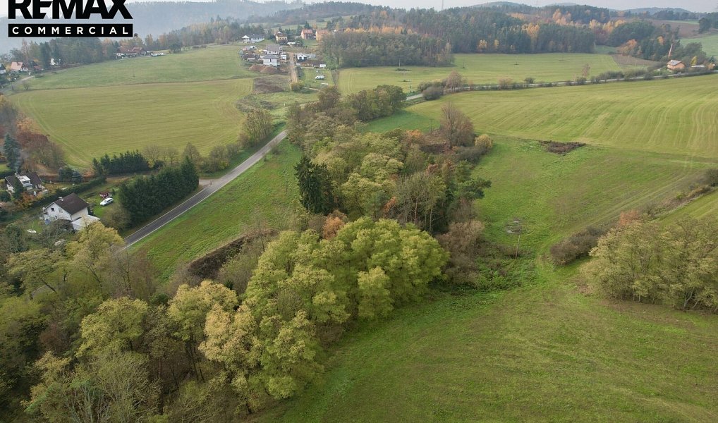 Prodej louky 8 808 m², Županovice – náhled fotky 12