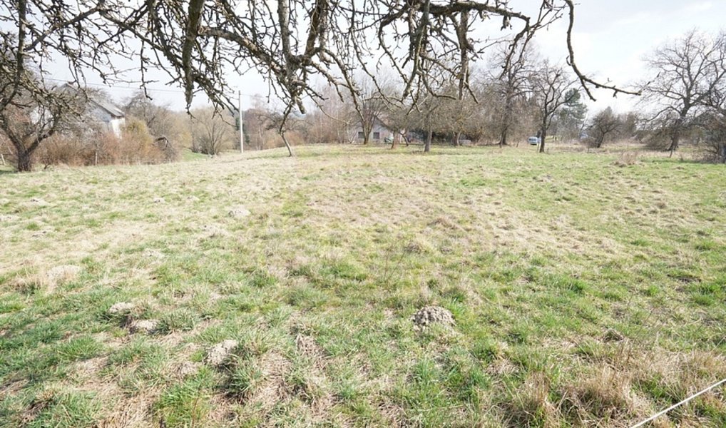 Prodej stavebního pozemku 1 964 m², Brzice – náhled fotky 5