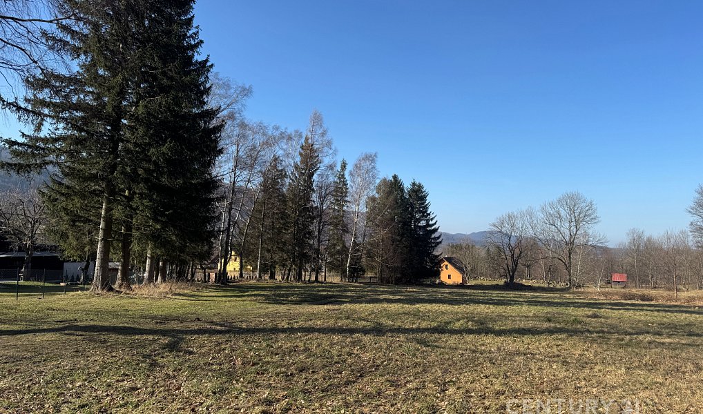 Prodej louky 3 194 m², Bílý Potok – náhled fotky 2