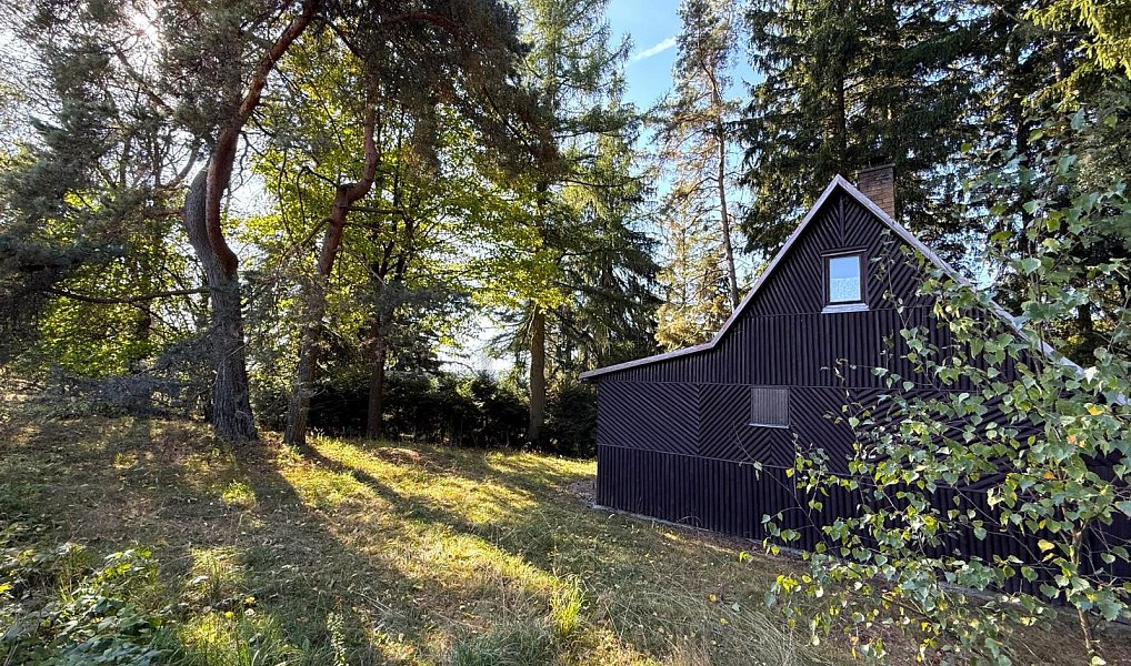 Prodej chaty/chalupy 53 m² s pozemkem 366 m², Borová – náhled fotky 8
