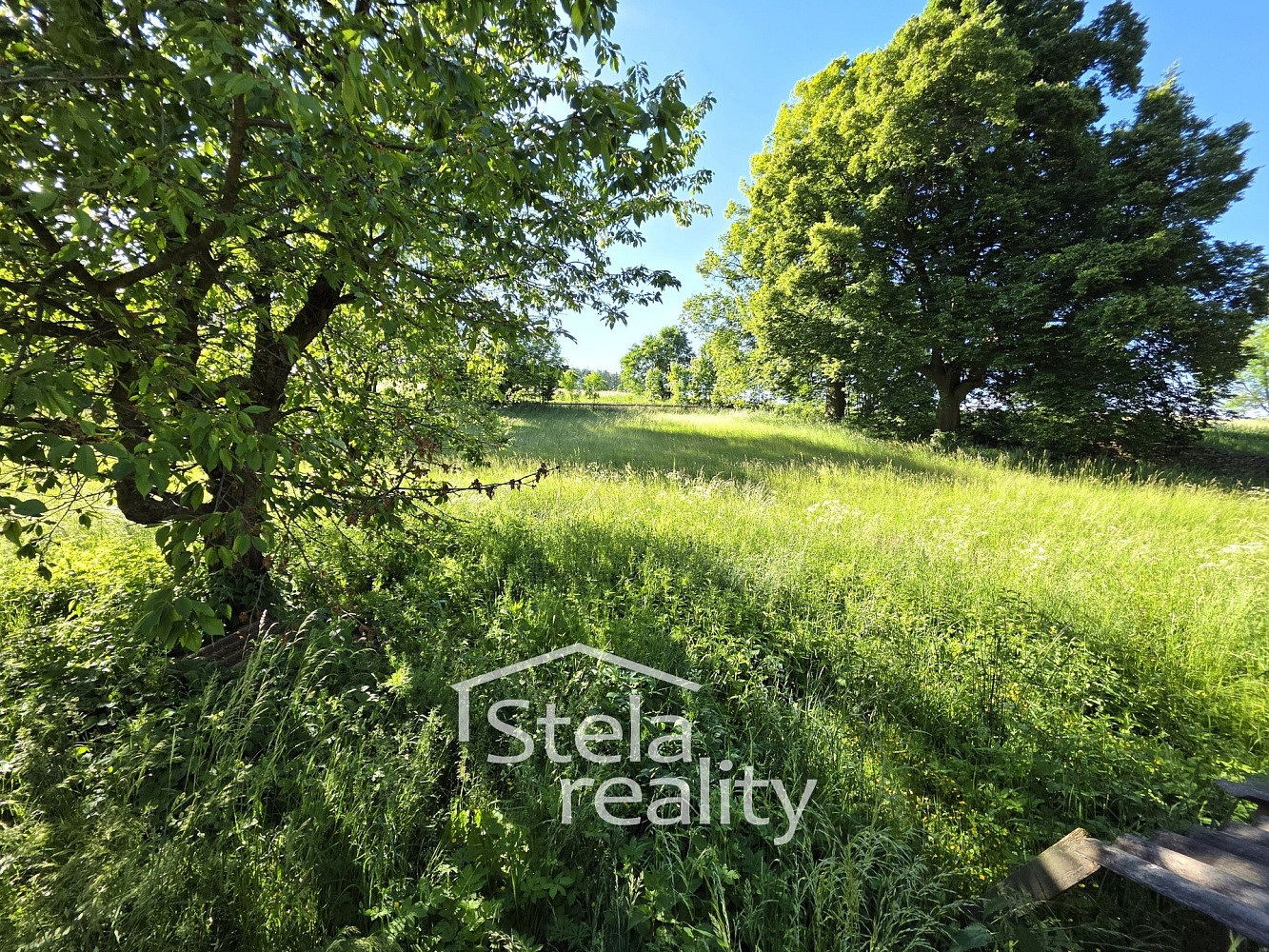 Prodej domu 195 m² s pozemkem 2 071 m² – fotografie 3