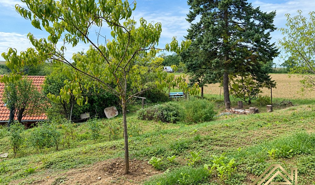 Prodej chaty/chalupy 25 m² s pozemkem 610 m², Němčičky – náhled fotky 6