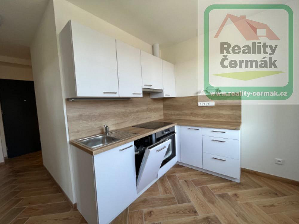 Pronájem bytu 1+1 38 m² – fotografie 5