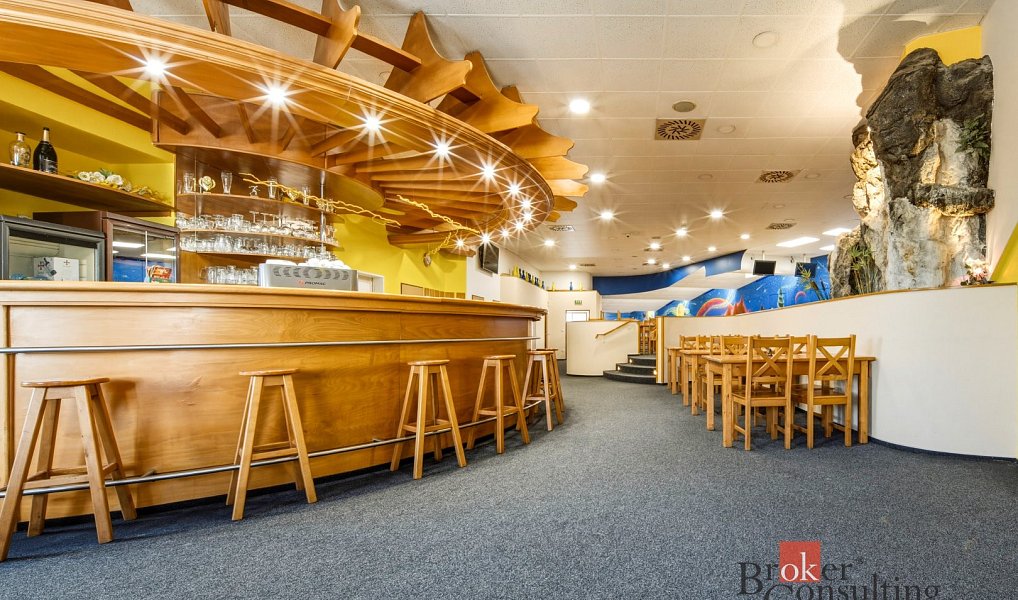 Prodej komerčního objektu (jiného typu) 1 359 m², Nový Bydžov – náhled fotky 11