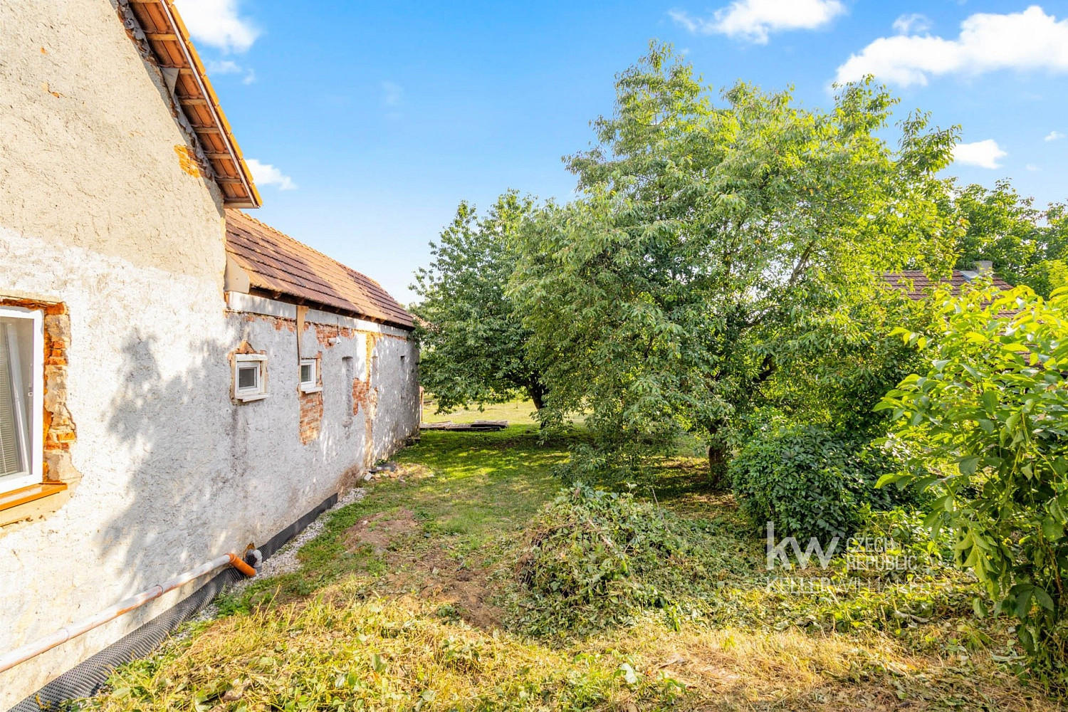 Fotka 14 z 30
