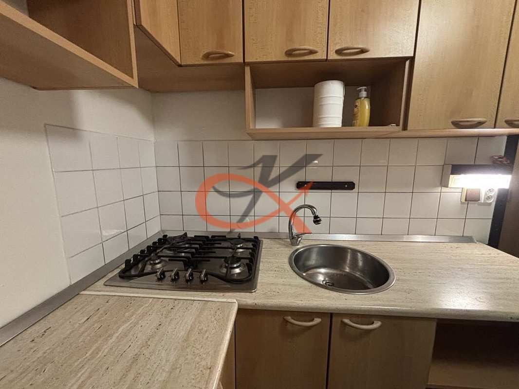Pronájem bytu 1+1 38 m² – fotografie 3