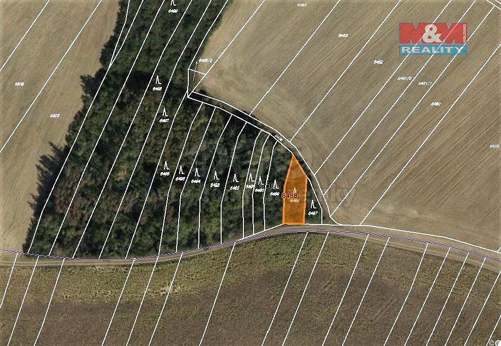Prodej lesa 320 m² – fotografie 4