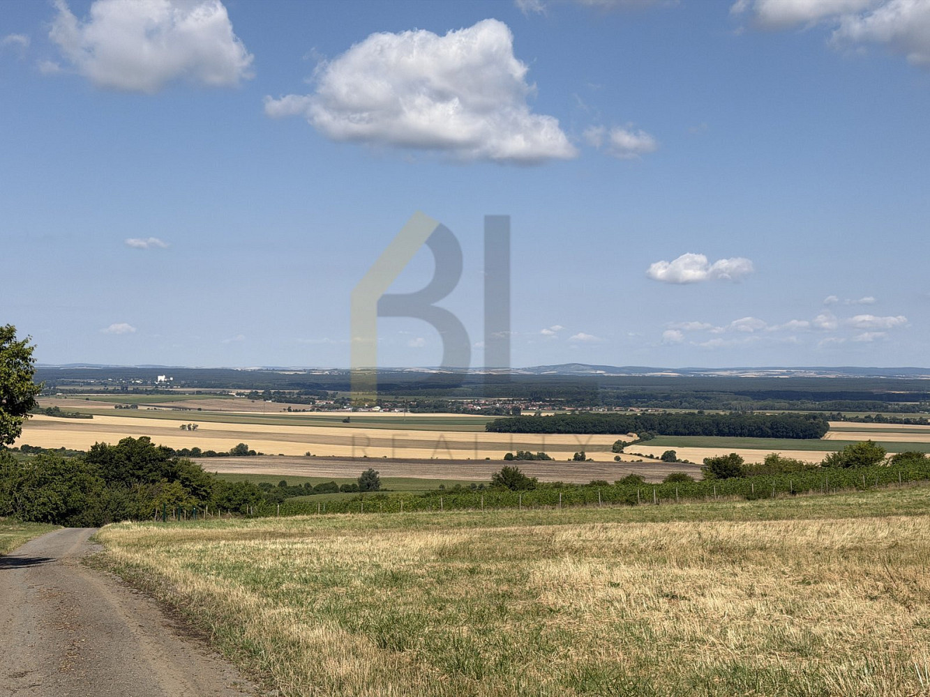 Prodej zahrady 3 867 m² – fotografie 3