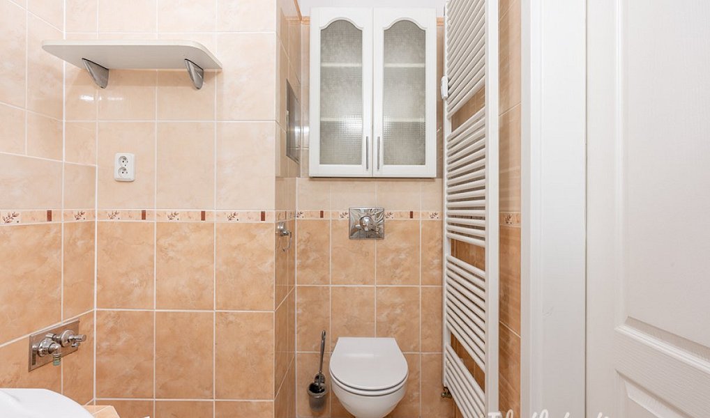 Pronájem bytu 2+kk 52 m², Praha – náhled fotky 8