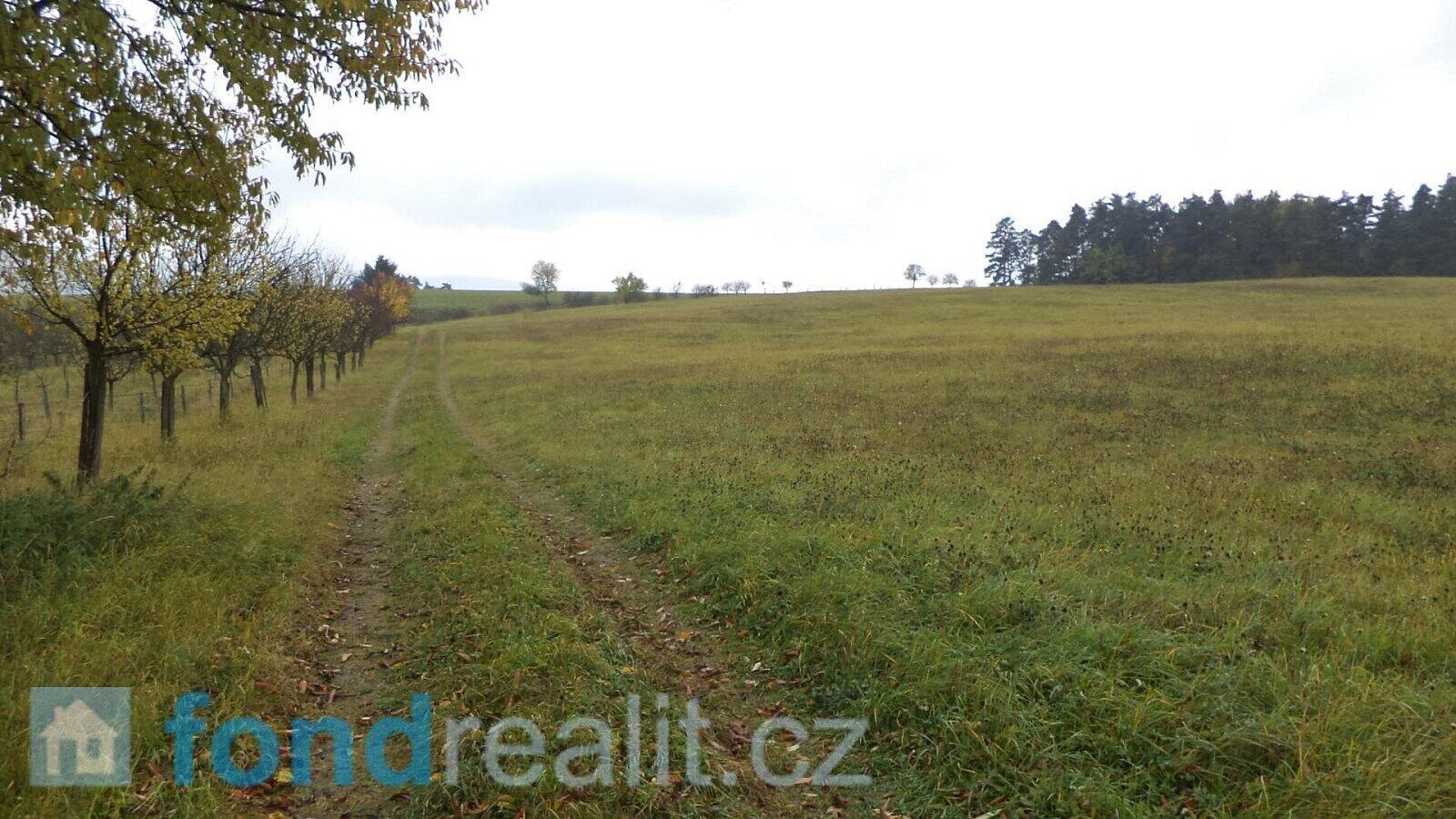 Prodej pole 6 246 m² – fotografie 2