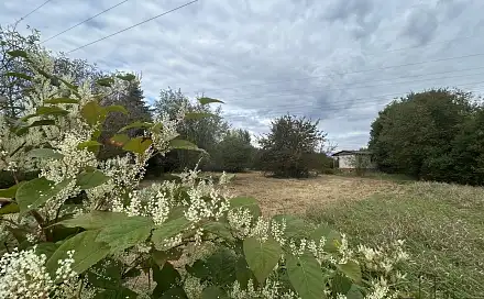 Prodej zahrady 1 611 m², Hodonín