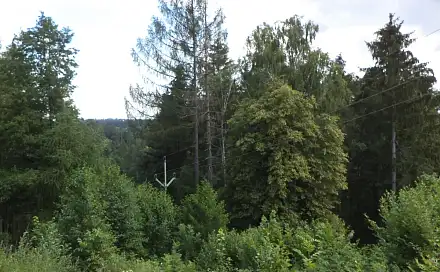 Dražba louky 766 m², Nová Ves u Jarošova