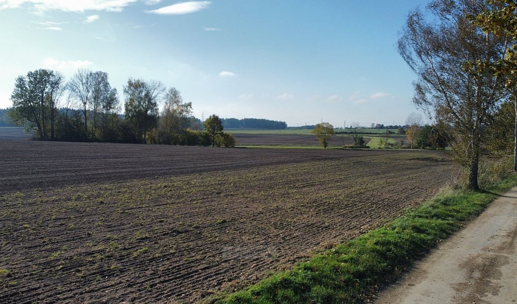 Prodej pole 49 992 m², Řípec – náhled fotky 6