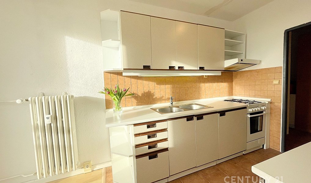 Pronájem bytu 1+1 41 m², Praha – náhled fotky 6