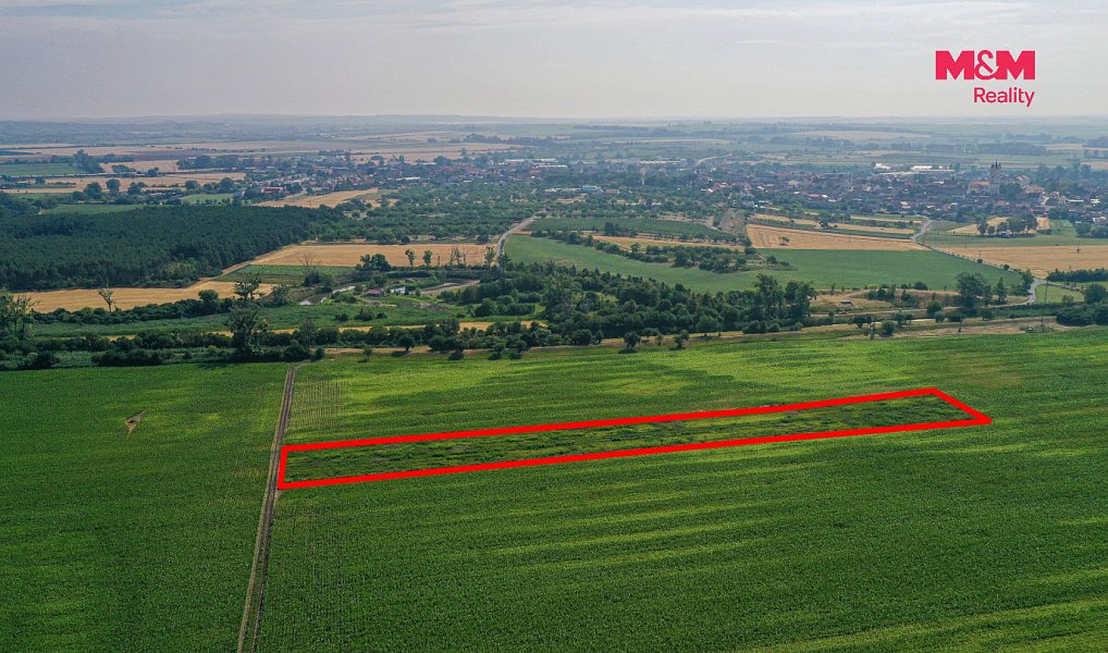 Prodej pole 9 227 m², Podivín – náhled fotky 12