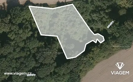 Prodej lesa 3 418 m², Hlinka, okres Bruntál